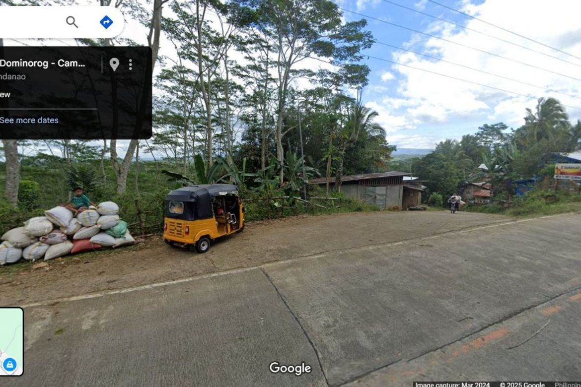 Land for Sale in San Miguel, Talakag, Bukidnon – photo 4