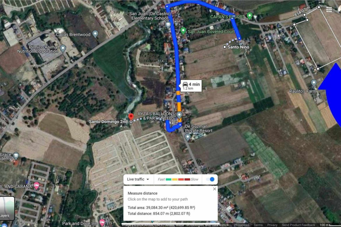 Land for Sale in San Nicolas Balas, Concepcion, Tarlac – photo 3