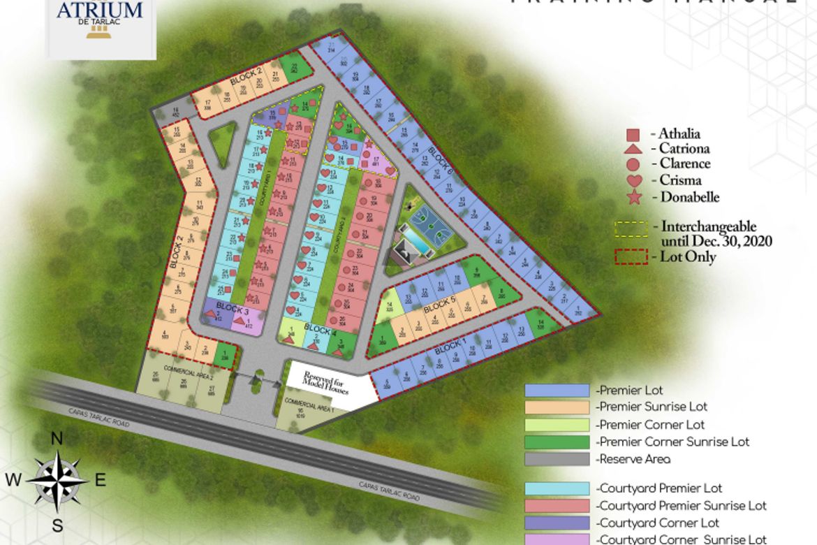 Land for Sale in San Nicolas, Concepcion, Tarlac – photo 3