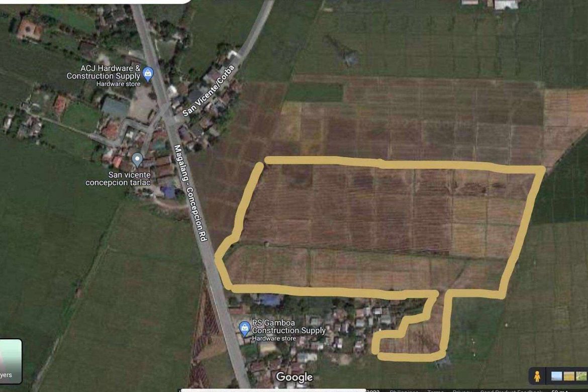 Land for Sale in San Nicolas, Concepcion, Tarlac