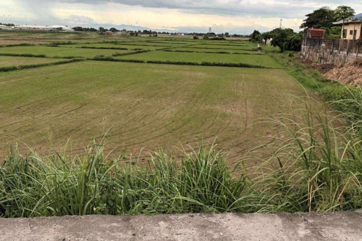 Land for Sale in San Nicolas, Concepcion, Tarlac – photo 6