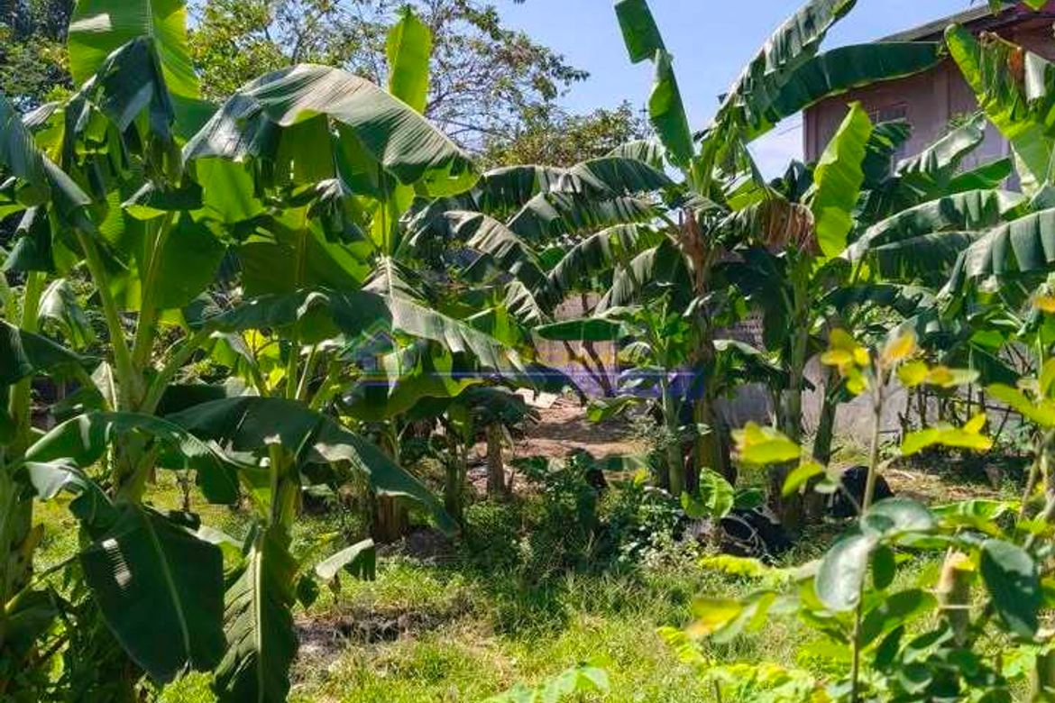 Land for Sale in San Nicolas I, Bacoor, Cavite – photo 3