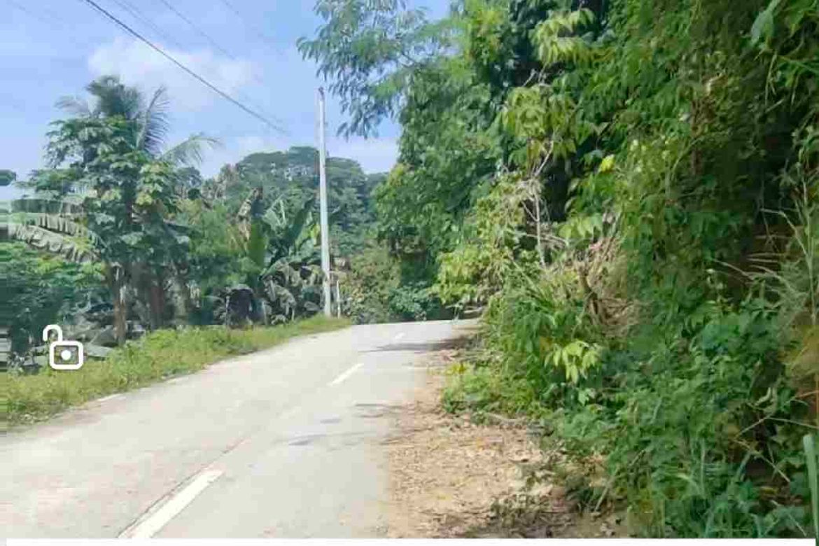 Land for Sale in San Nicolas, Panabo, Davao del Norte – photo 2
