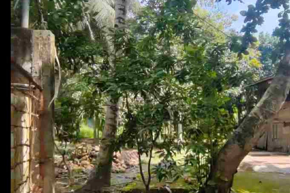 Land for Sale in San Nicolas, Panabo, Davao del Norte – photo 4