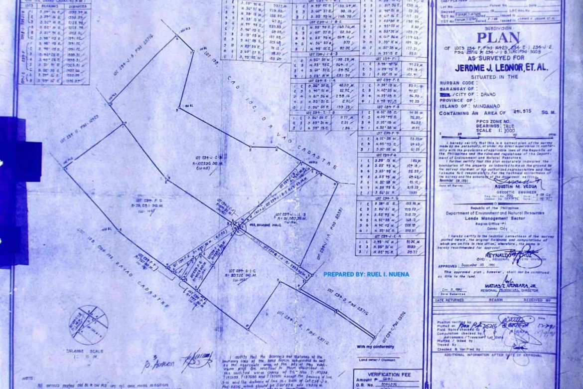 Land for Sale in San Nicolas, Panabo, Davao del Norte – photo 5
