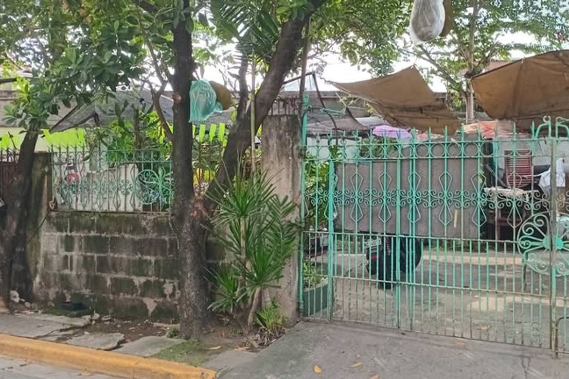 Land for Sale in San Nicolas, Pasig, Metro Manila – photo 4
