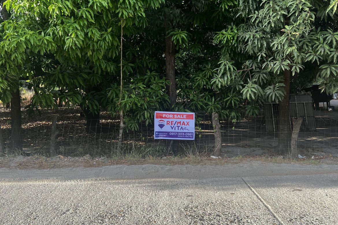 Land for Sale in San Nicolas, San Antonio, Zambales – photo 3