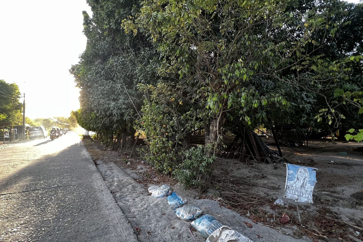 Land for Sale in San Nicolas, San Antonio, Zambales – photo 5