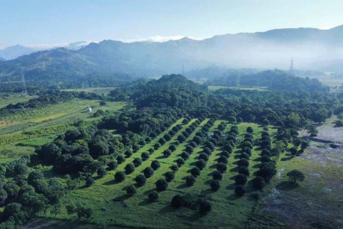 Land for Sale in San Pablo, Castillejos, Zambales – photo 2
