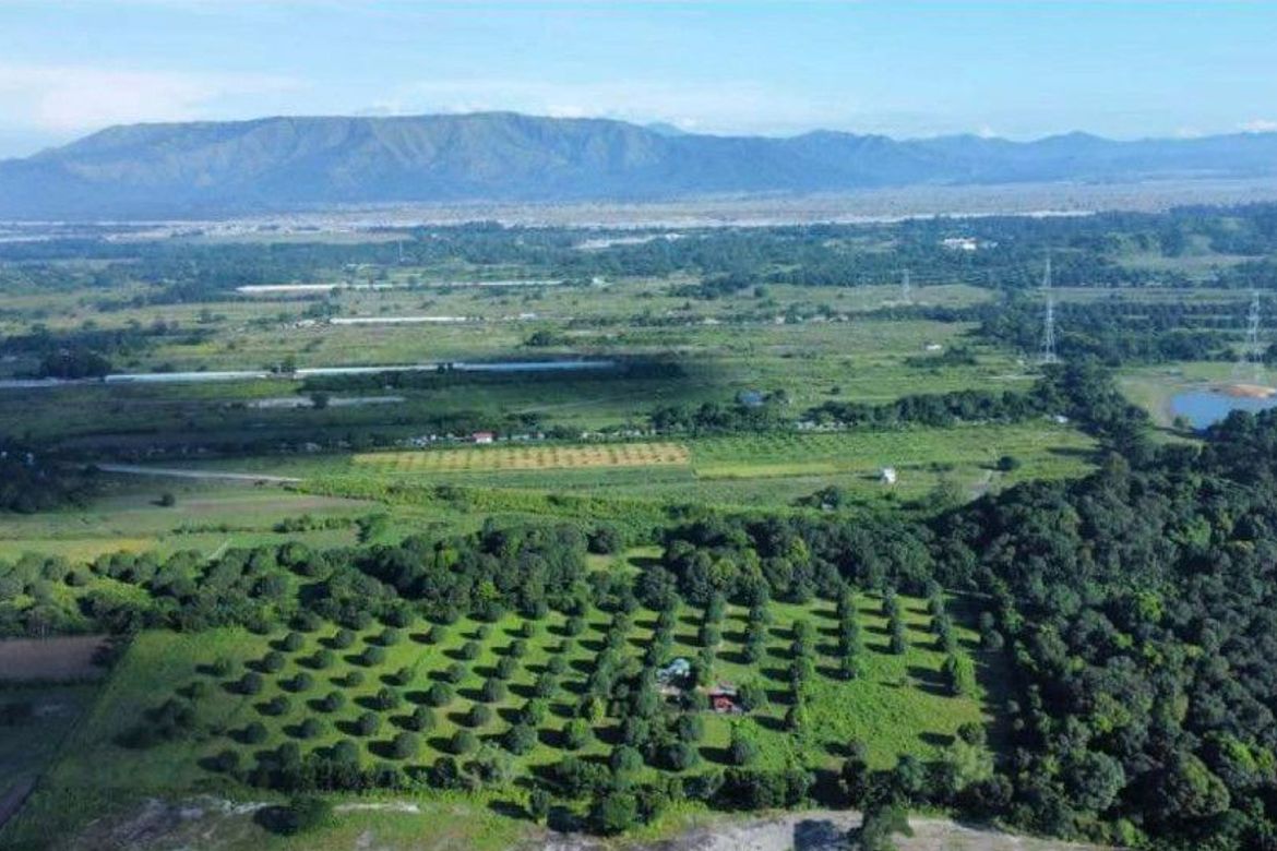 Land for Sale in San Pablo, Castillejos, Zambales – photo 3