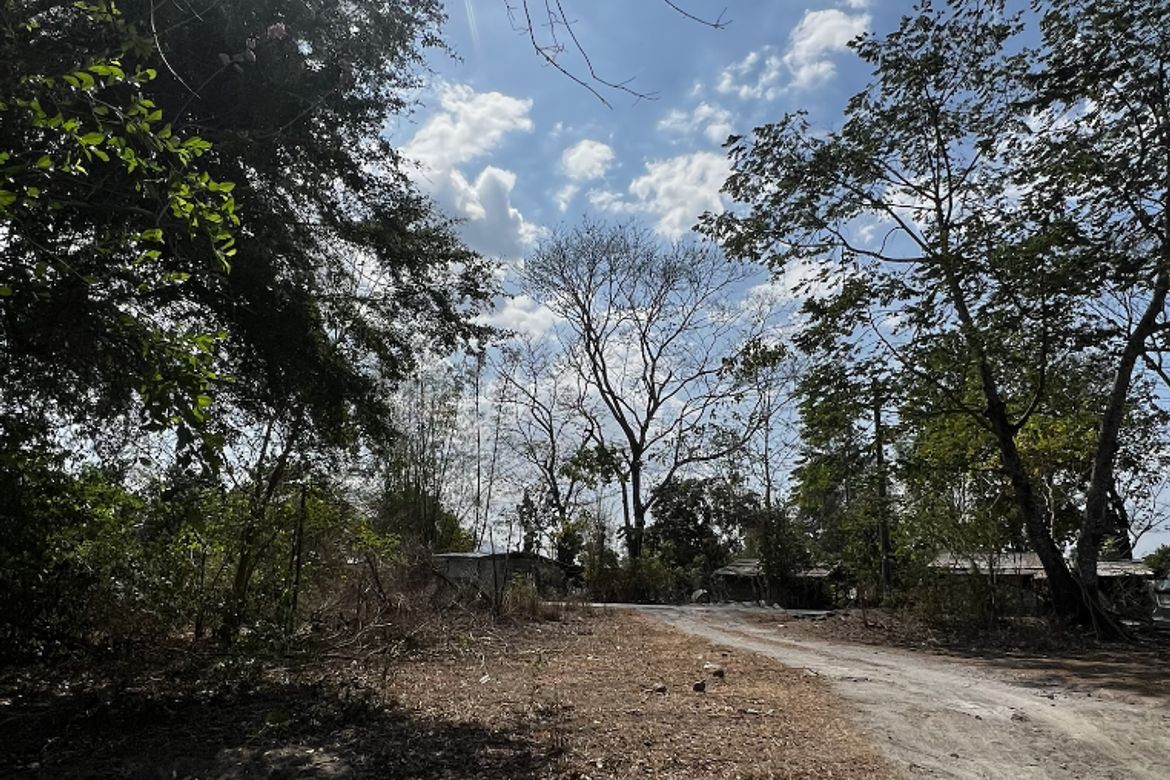 Land for Sale in San Pablo, Castillejos, Zambales – photo 2