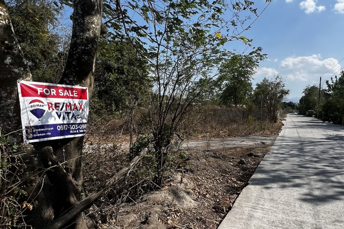 Land for Sale in San Pablo, Castillejos, Zambales – photo 5