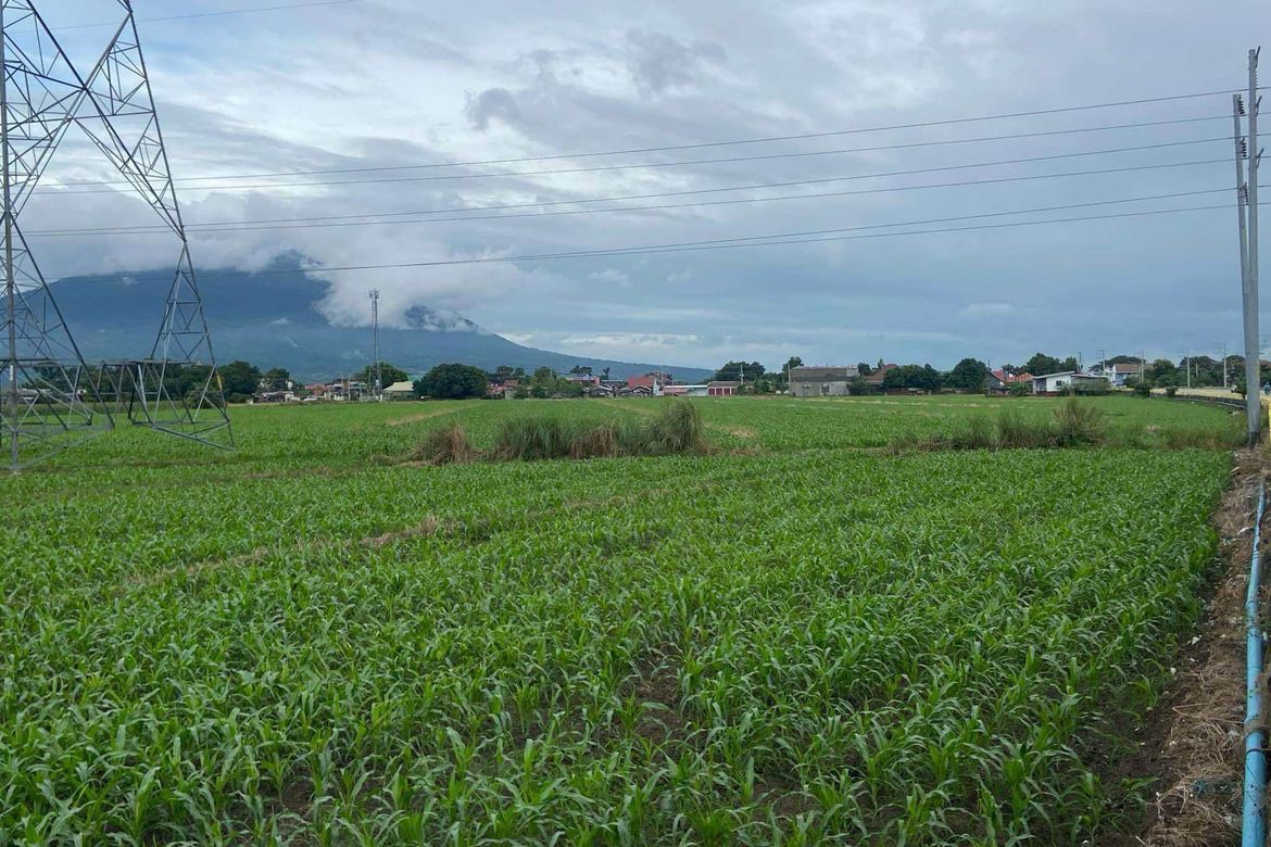 Land for Sale in San Pablo, Santa Ana, Pampanga – photo 4