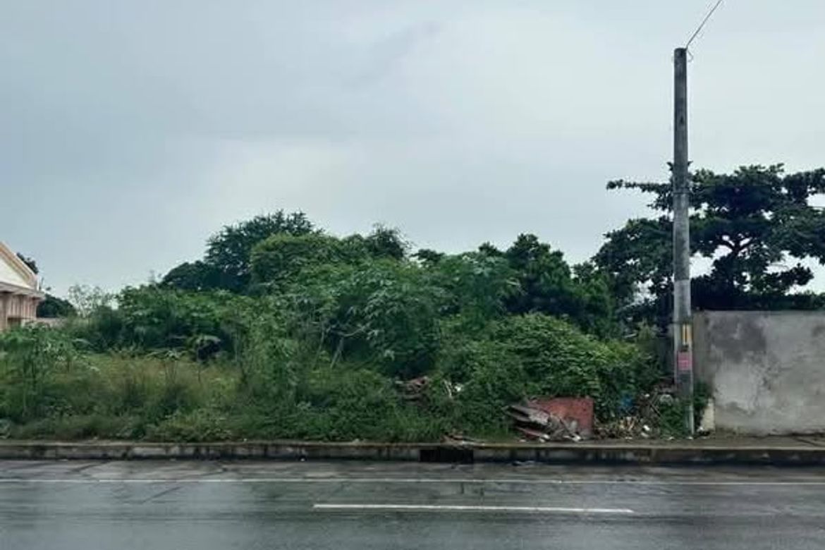 Land for Sale in San Pablo, Tarlac, Tarlac – photo 3