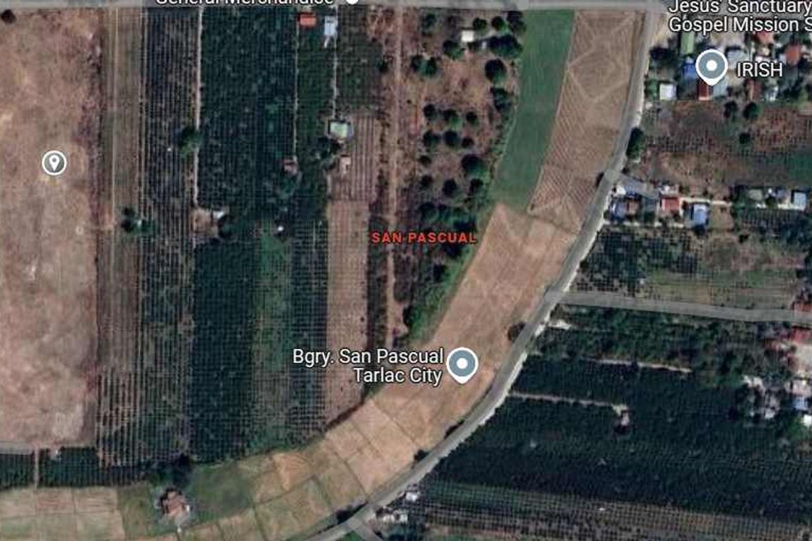 Land for Sale in San Pascual, Tarlac, Tarlac – photo 2