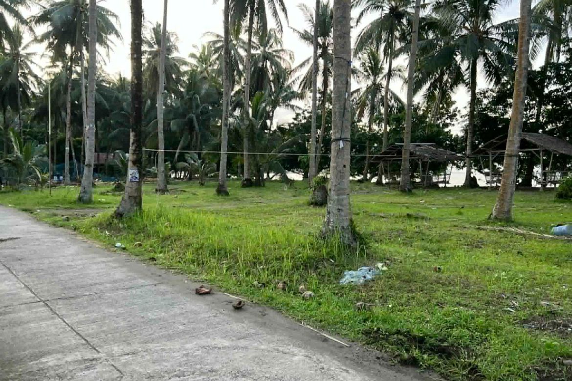 Land for Sale in San Pedro, Dapitan, Zamboanga del Norte – photo 2