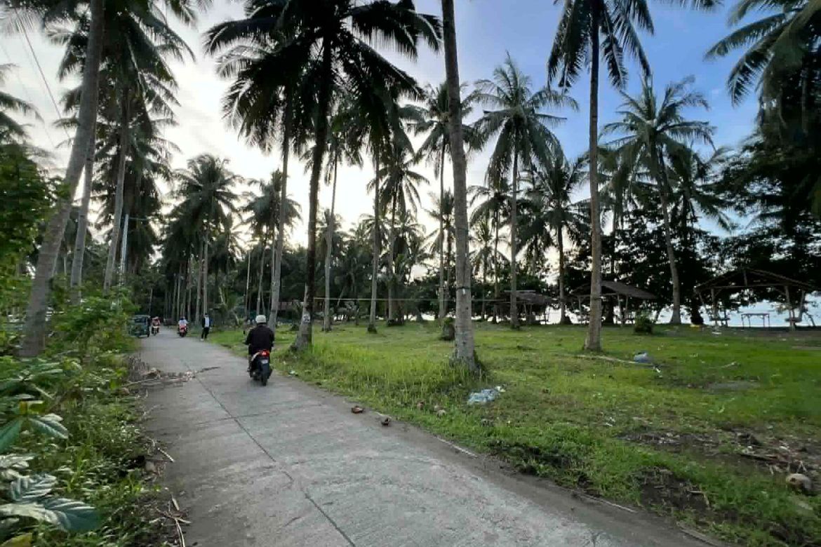 Land for Sale in San Pedro, Dapitan, Zamboanga del Norte – photo 3