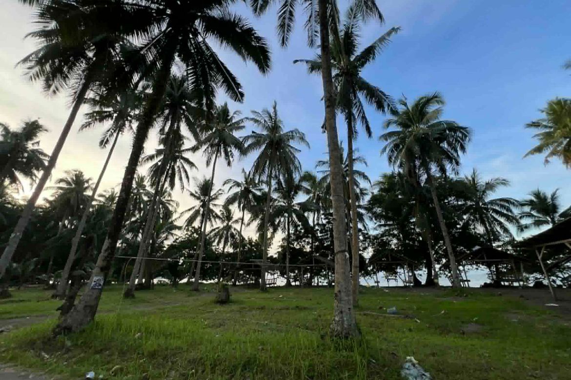 Land for Sale in San Pedro, Dapitan, Zamboanga del Norte – photo 4