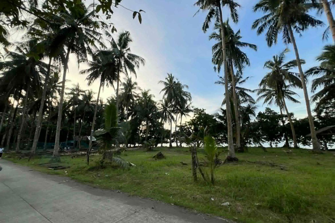 Land for Sale in San Pedro, Dapitan, Zamboanga del Norte – photo 6