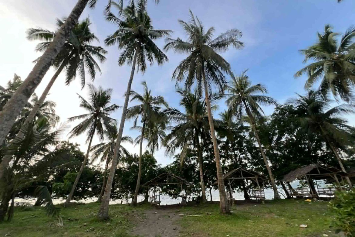 Land for Sale in San Pedro, Dapitan, Zamboanga del Norte – photo 7