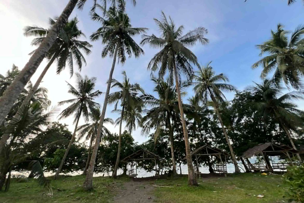 Land for Sale in San Pedro, Dapitan, Zamboanga del Norte – photo 8