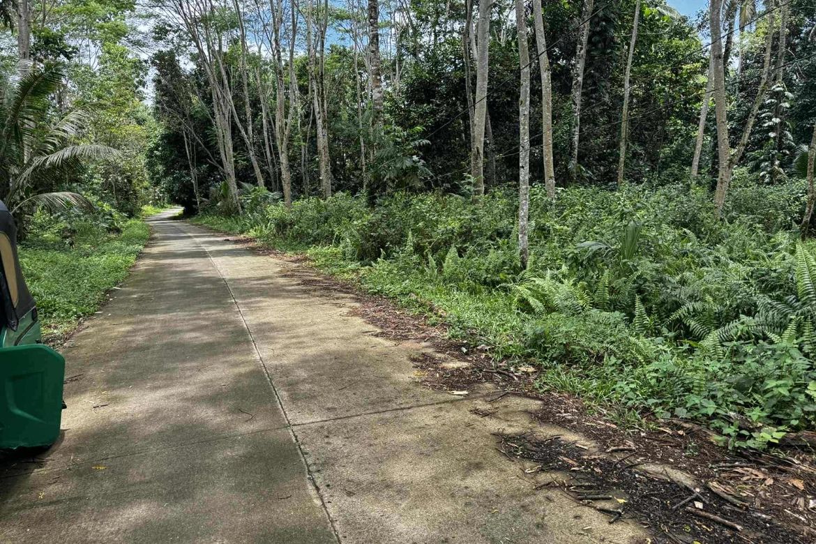 Land for Sale in San Pedro, Polanco, Zamboanga del Norte