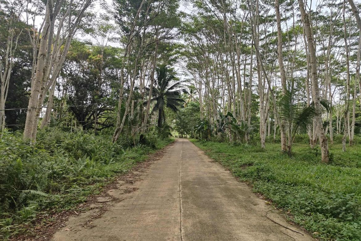 Land for Sale in San Pedro, Polanco, Zamboanga del Norte – photo 2