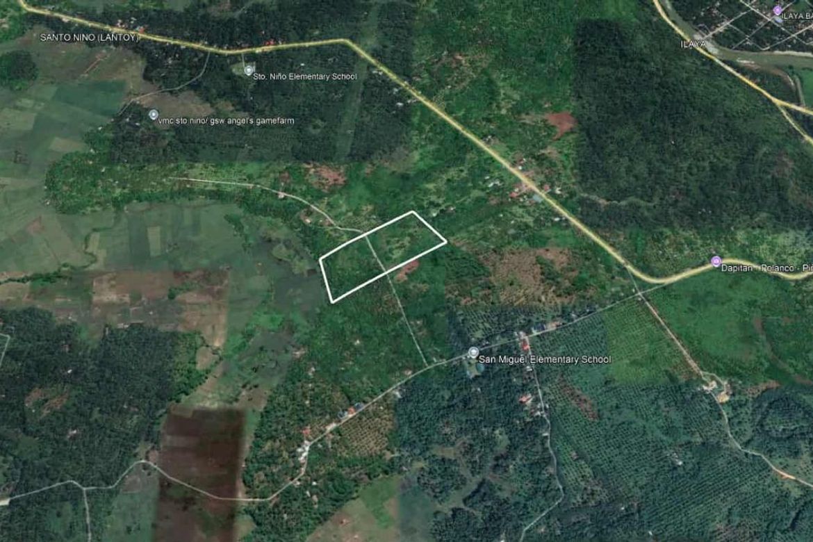 Land for Sale in San Pedro, Polanco, Zamboanga del Norte – photo 4