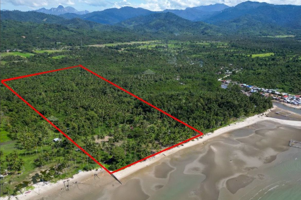Land for Sale in San Pedro, Puerto Princesa, Palawan – photo 2
