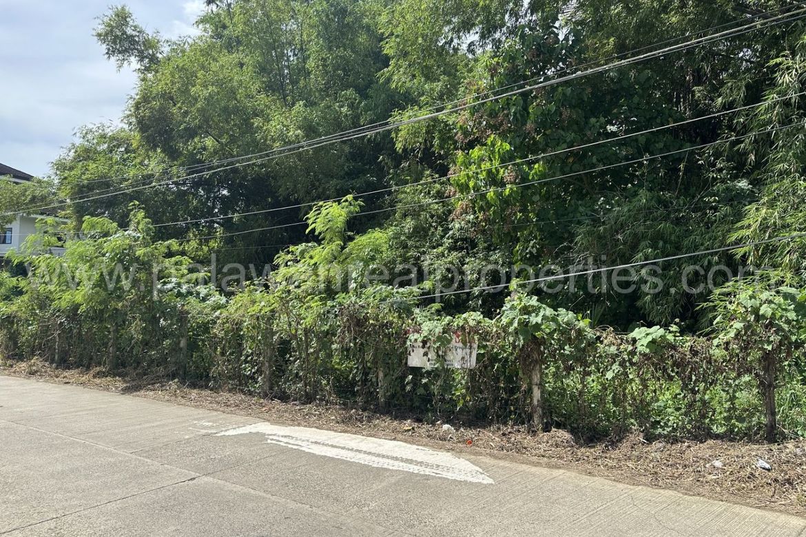 Land for Sale in San Pedro, Puerto Princesa, Palawan