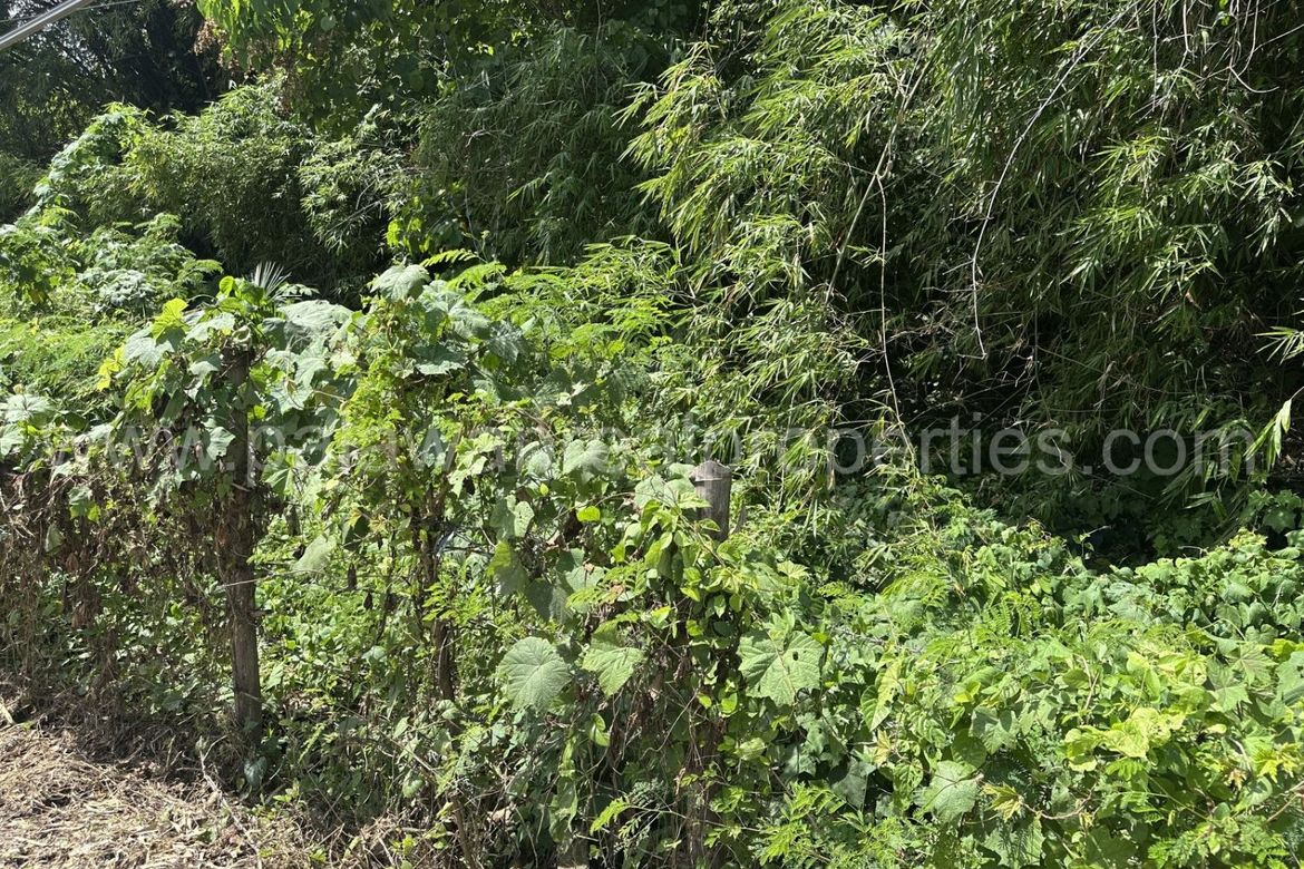 Land for Sale in San Pedro, Puerto Princesa, Palawan – photo 2