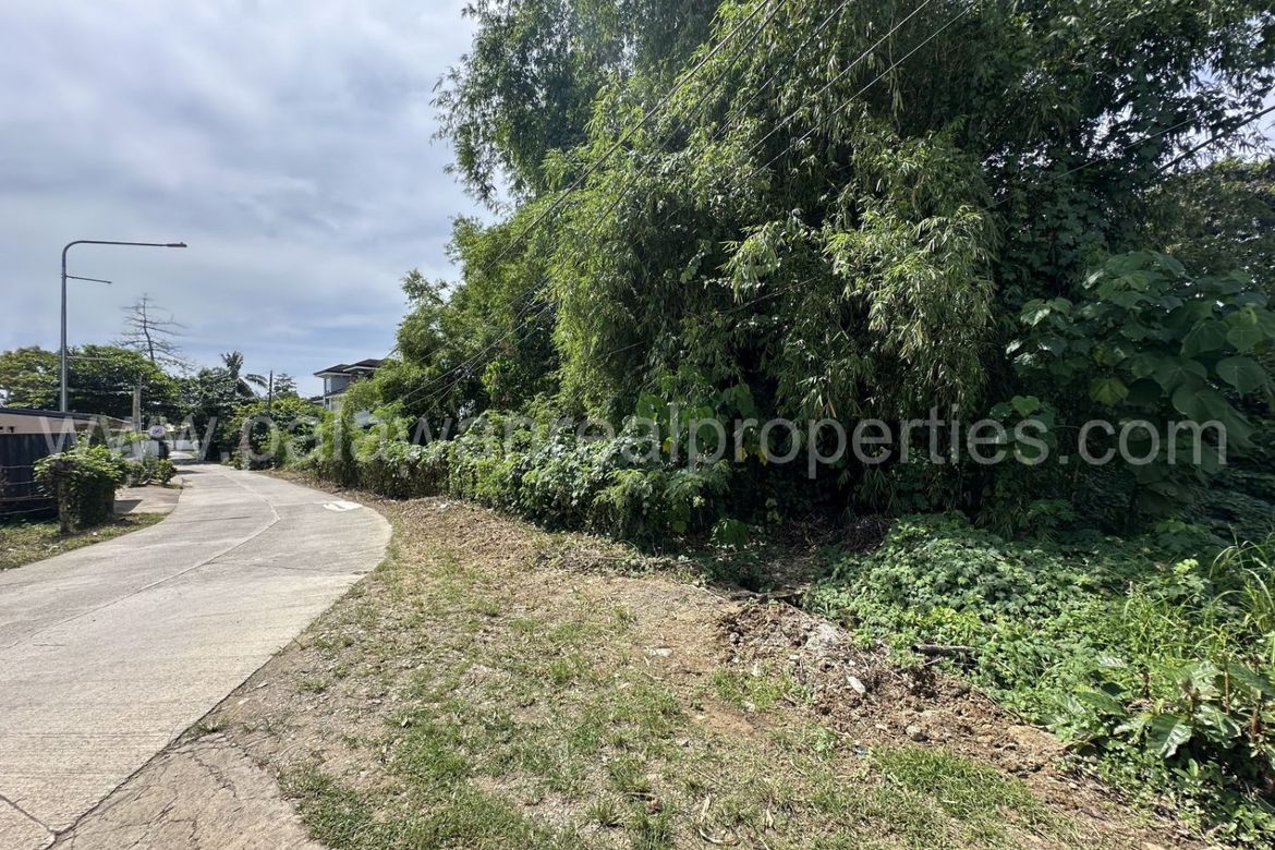 Land for Sale in San Pedro, Puerto Princesa, Palawan – photo 3