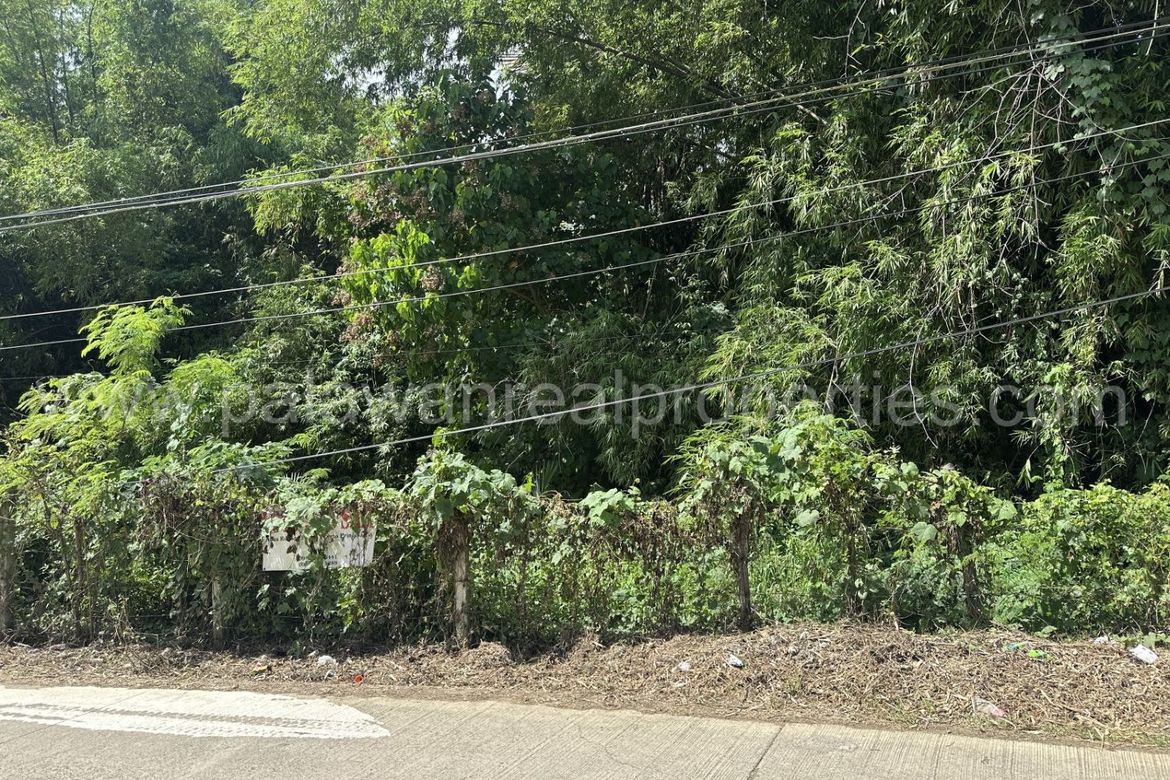Land for Sale in San Pedro, Puerto Princesa, Palawan – photo 4
