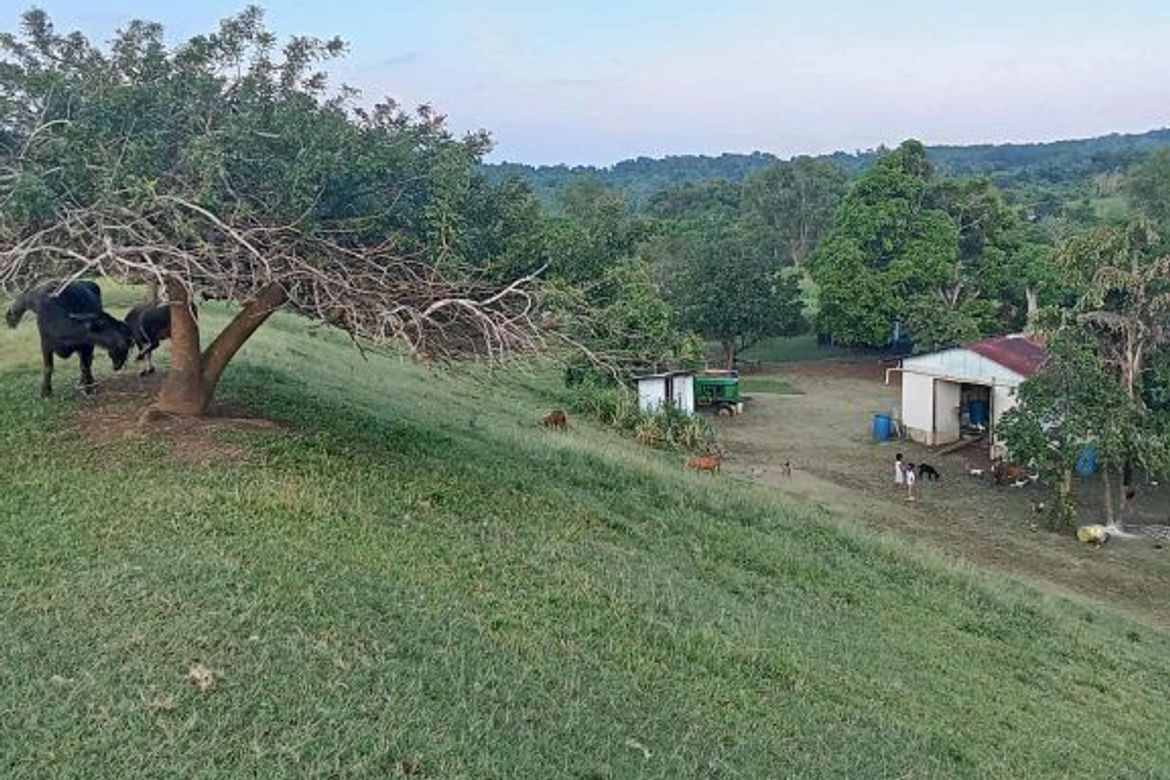 Land for Sale in San Pedro, Puerto Princesa, Palawan – photo 2