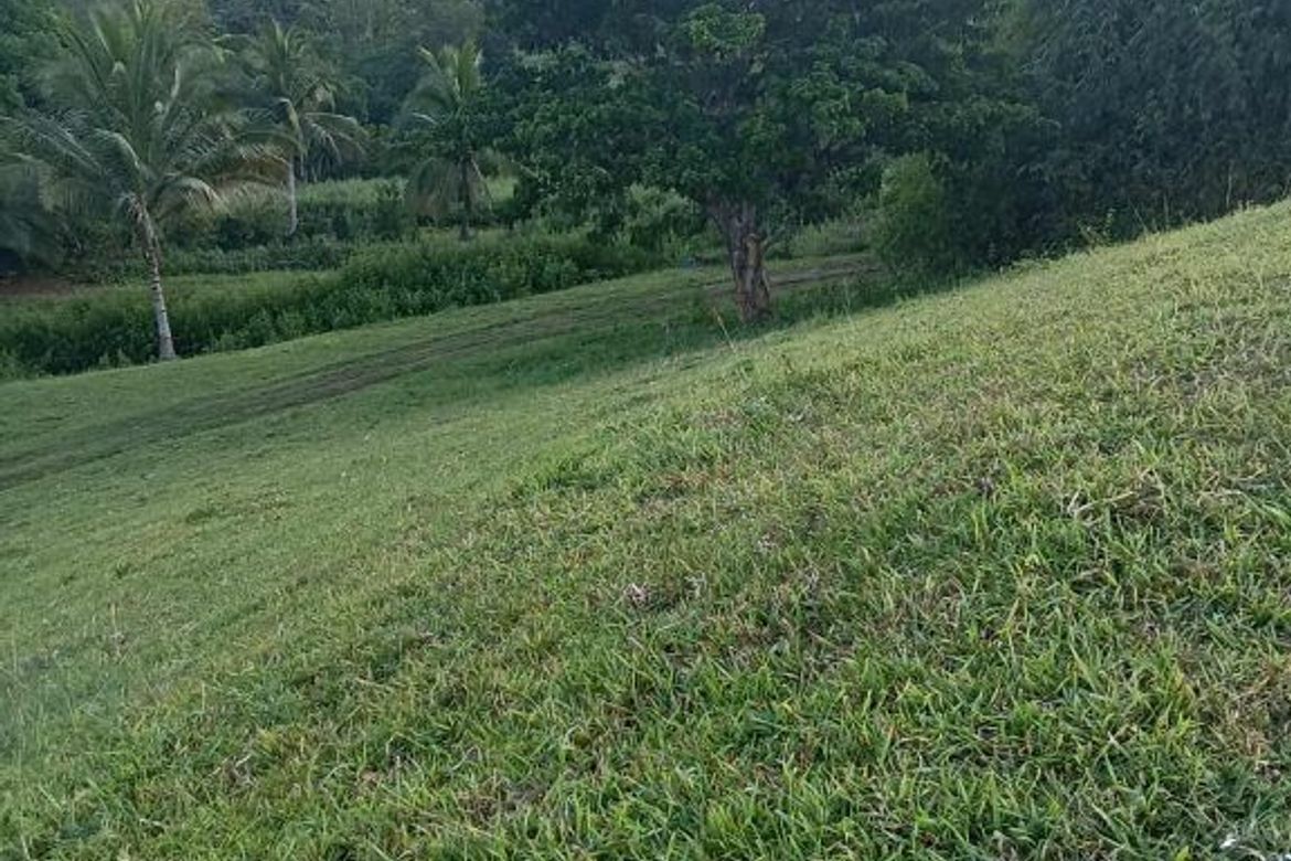 Land for Sale in San Pedro, Puerto Princesa, Palawan – photo 4