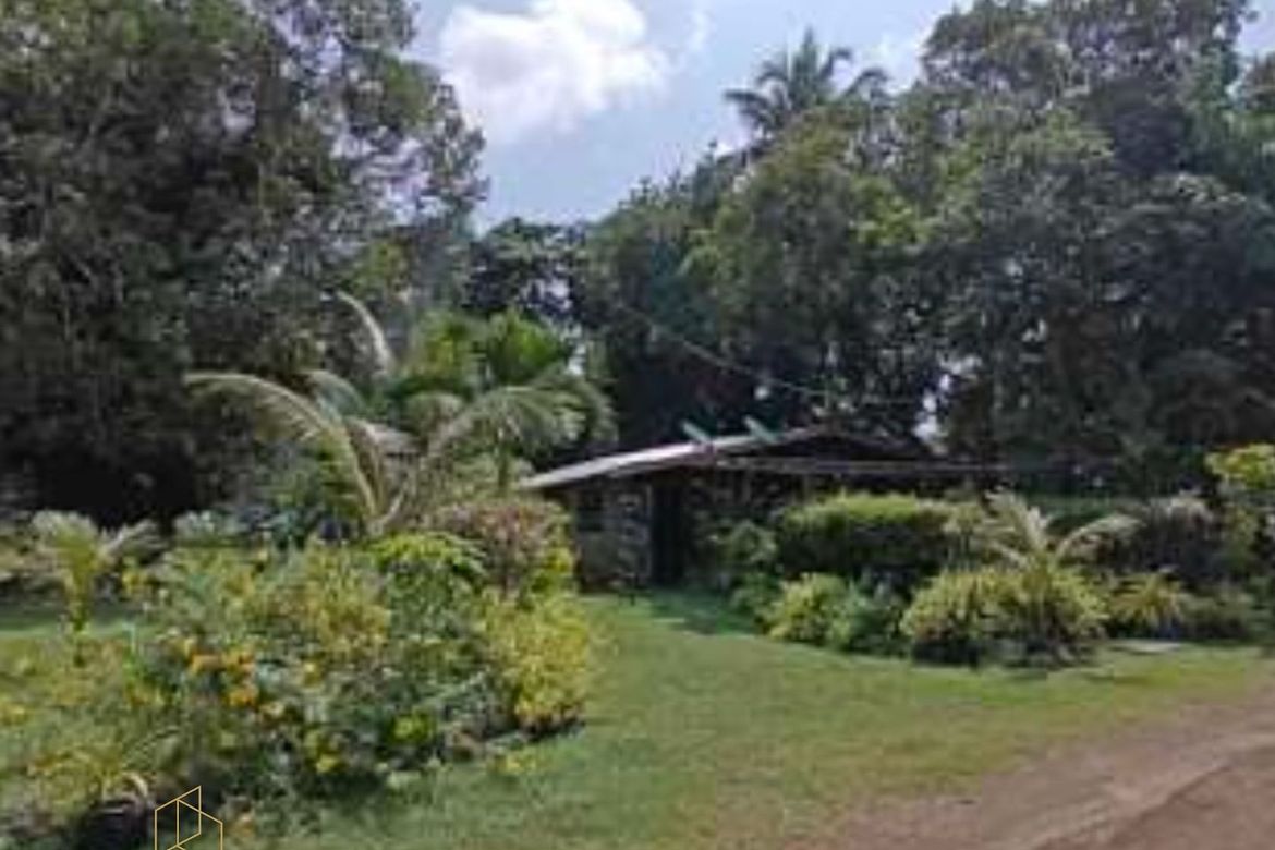 Land for Sale in San Pedro, Puerto Princesa, Palawan – photo 4
