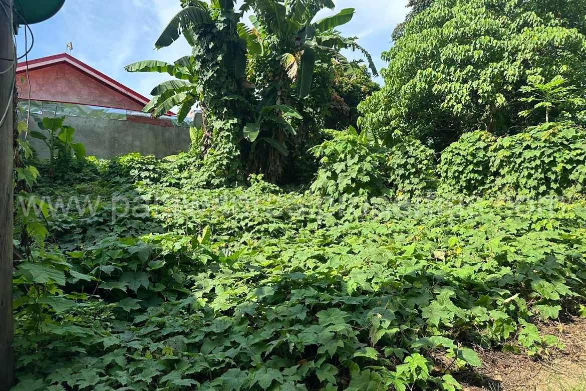 Land for Sale in San Pedro, Puerto Princesa, Palawan