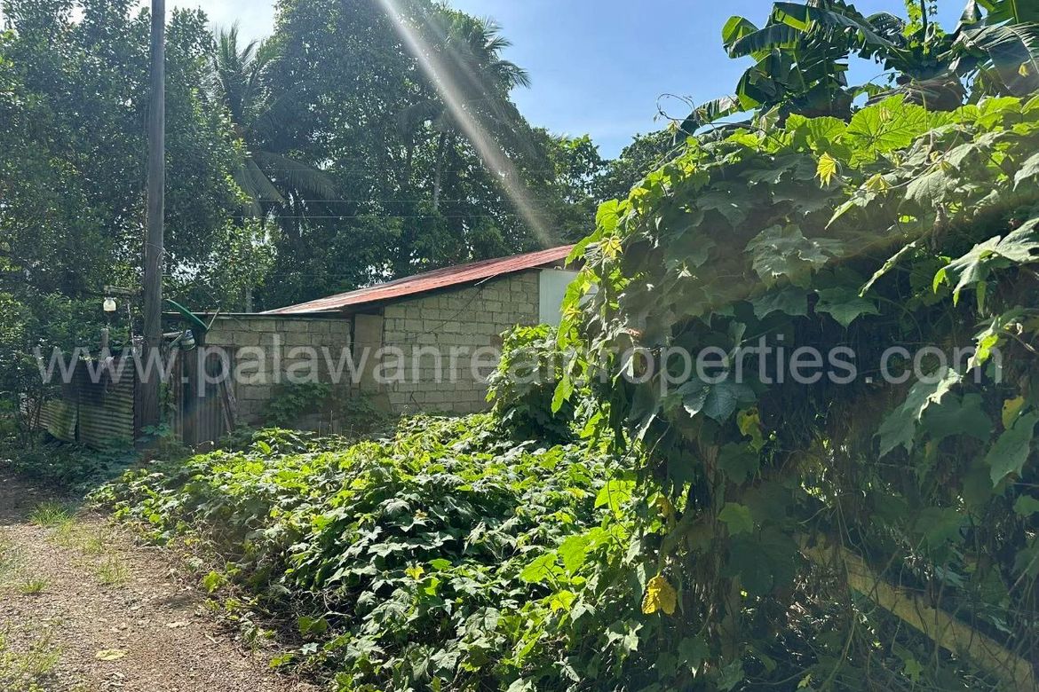 Land for Sale in San Pedro, Puerto Princesa, Palawan – photo 5