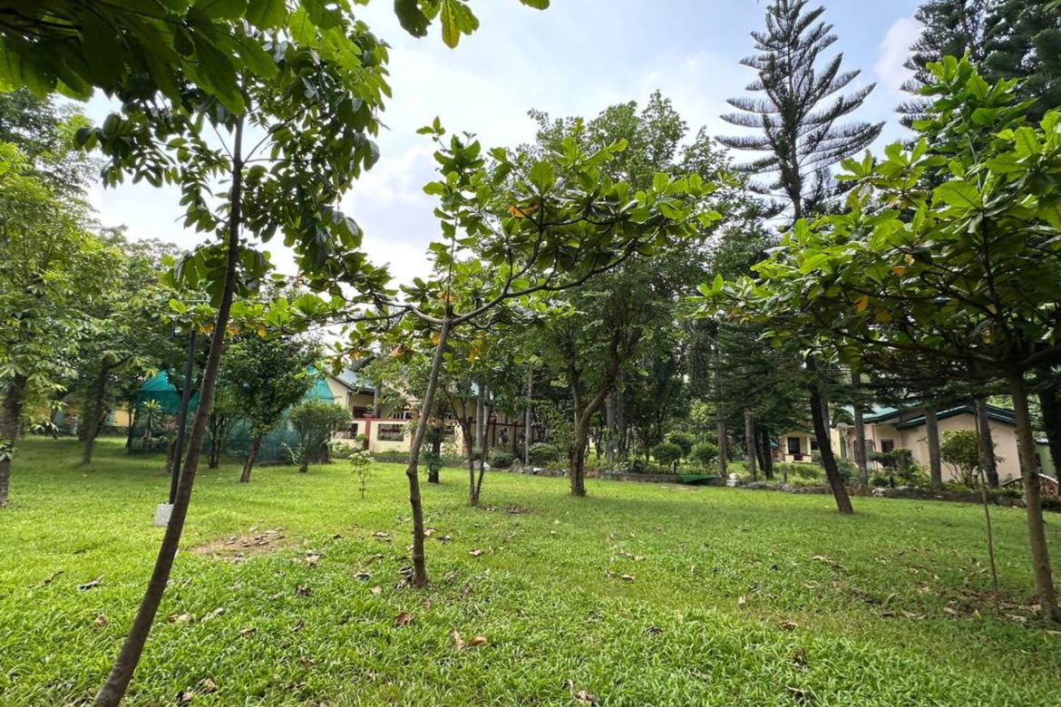 Land for Sale in San Pedro, Santo Tomas, Batangas – photo 2