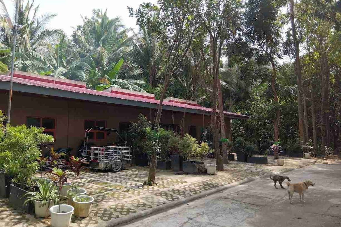 Land for Sale in San Pedro, Santo Tomas, Batangas – photo 4