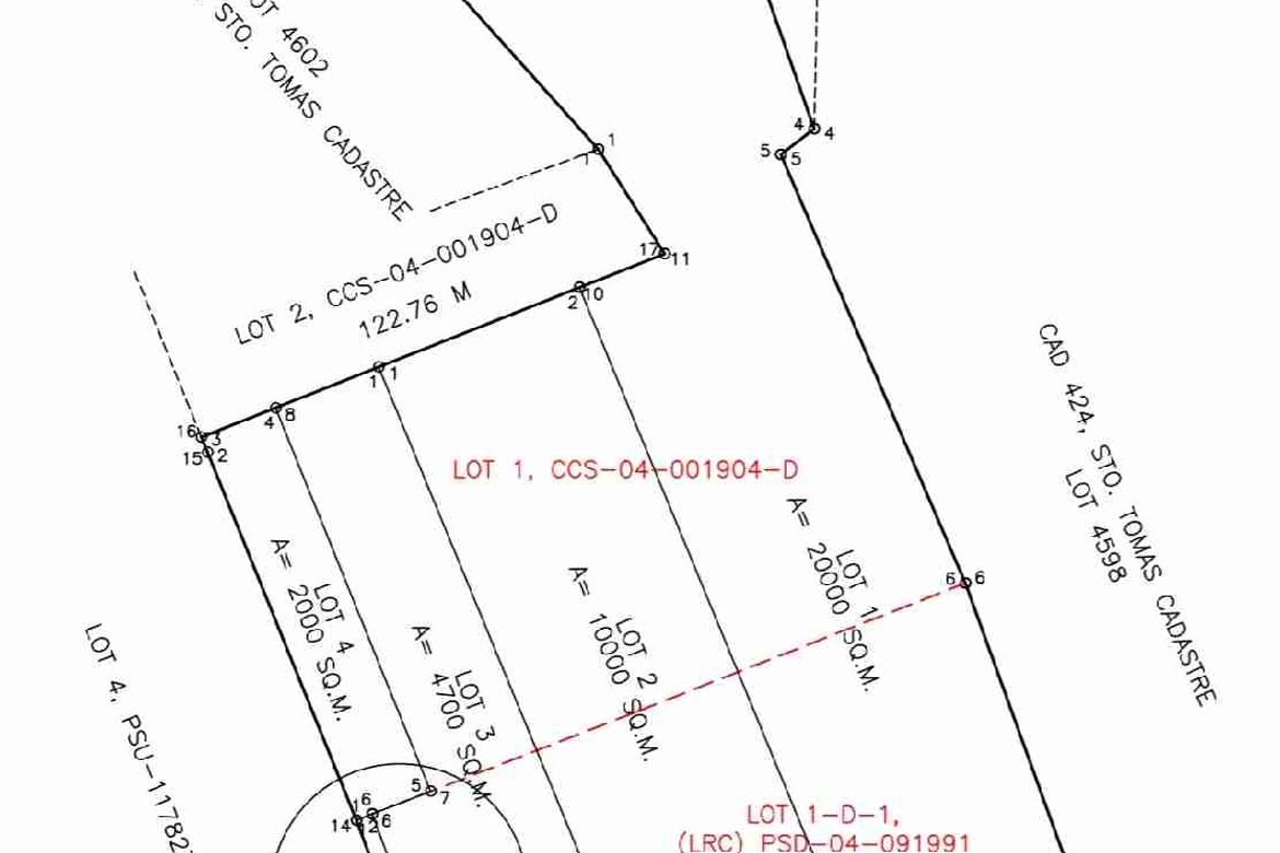 Land for Sale in San Pedro, Santo Tomas, Batangas – photo 7