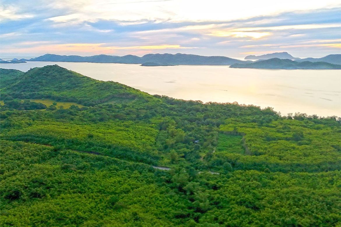 Land for Sale in San Rafael, Busuanga, Palawan – photo 6