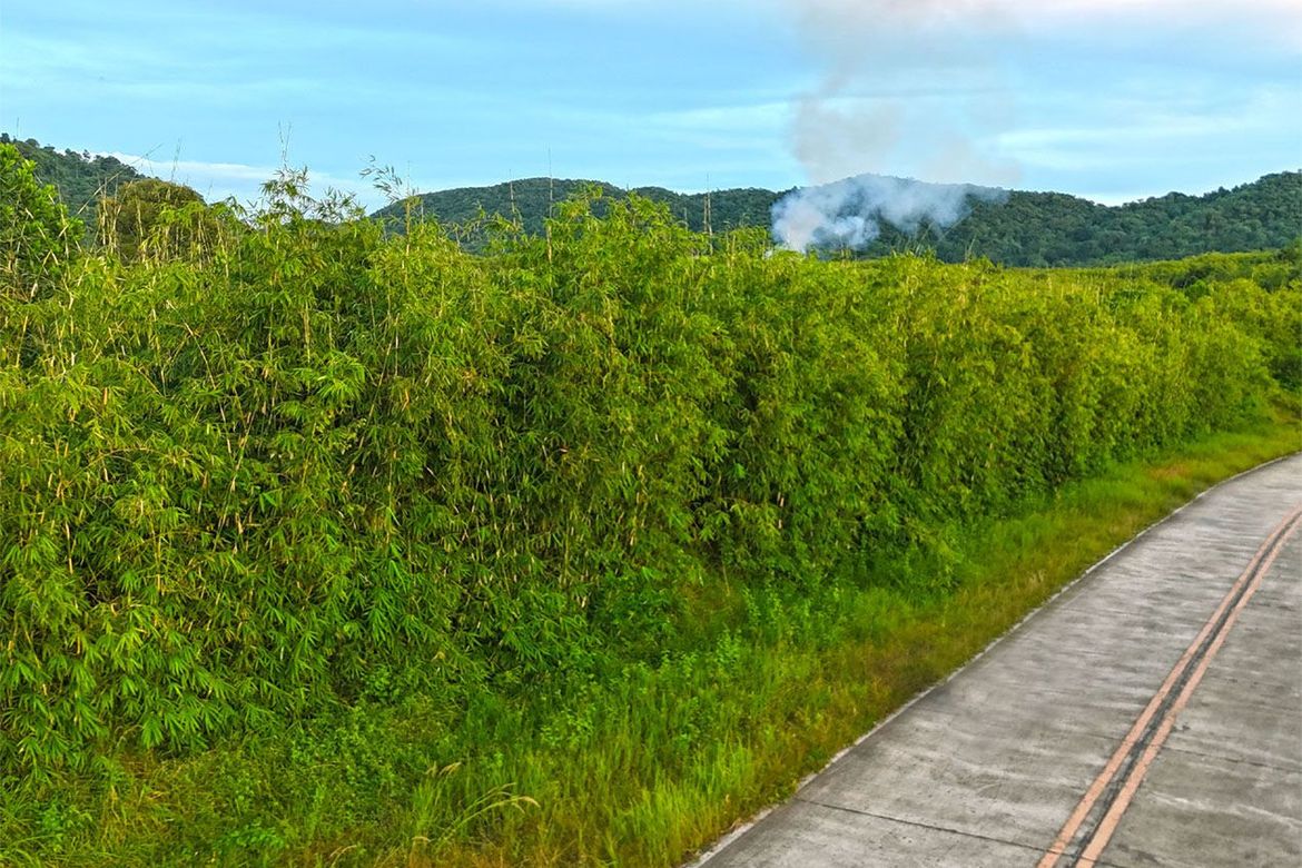 Land for Sale in San Rafael, Busuanga, Palawan – photo 10