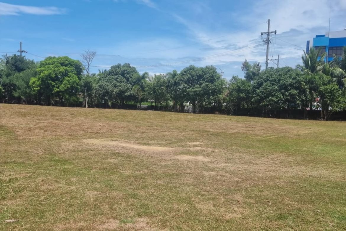 Land for Sale in San Rafael, Iloilo City, Iloilo – photo 2