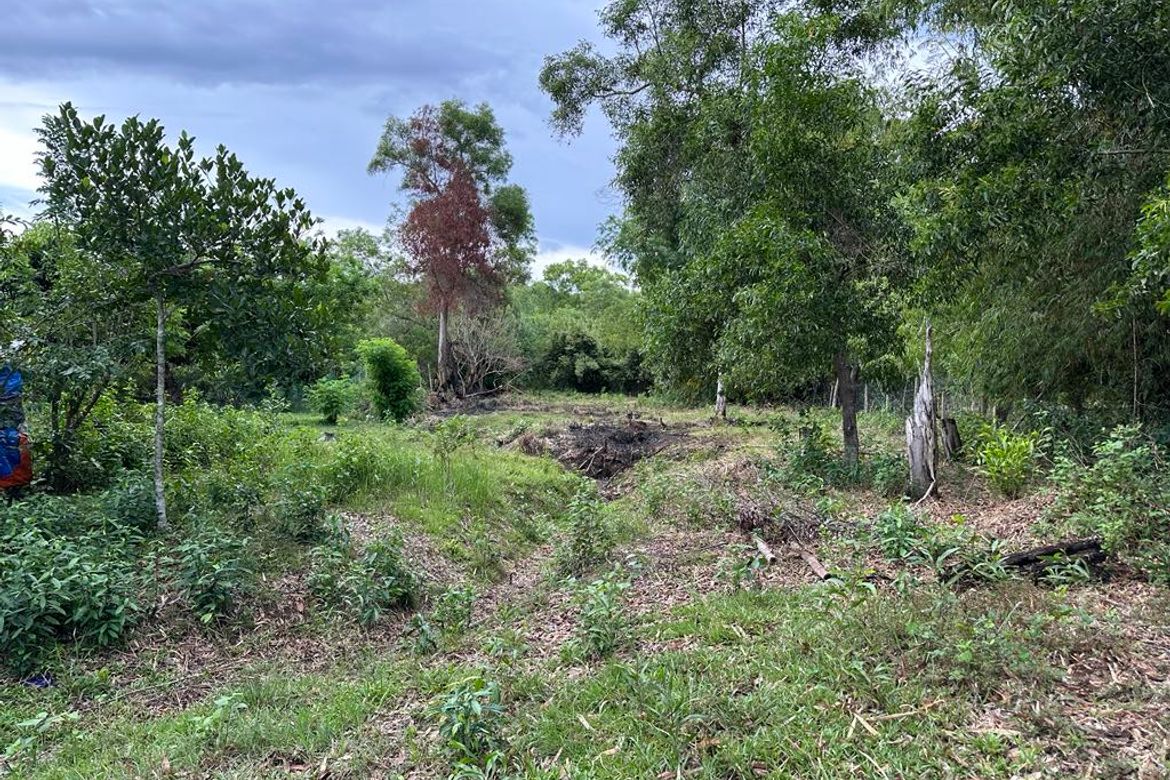 Land for Sale in San Rafael, Puerto Princesa, Palawan – photo 3