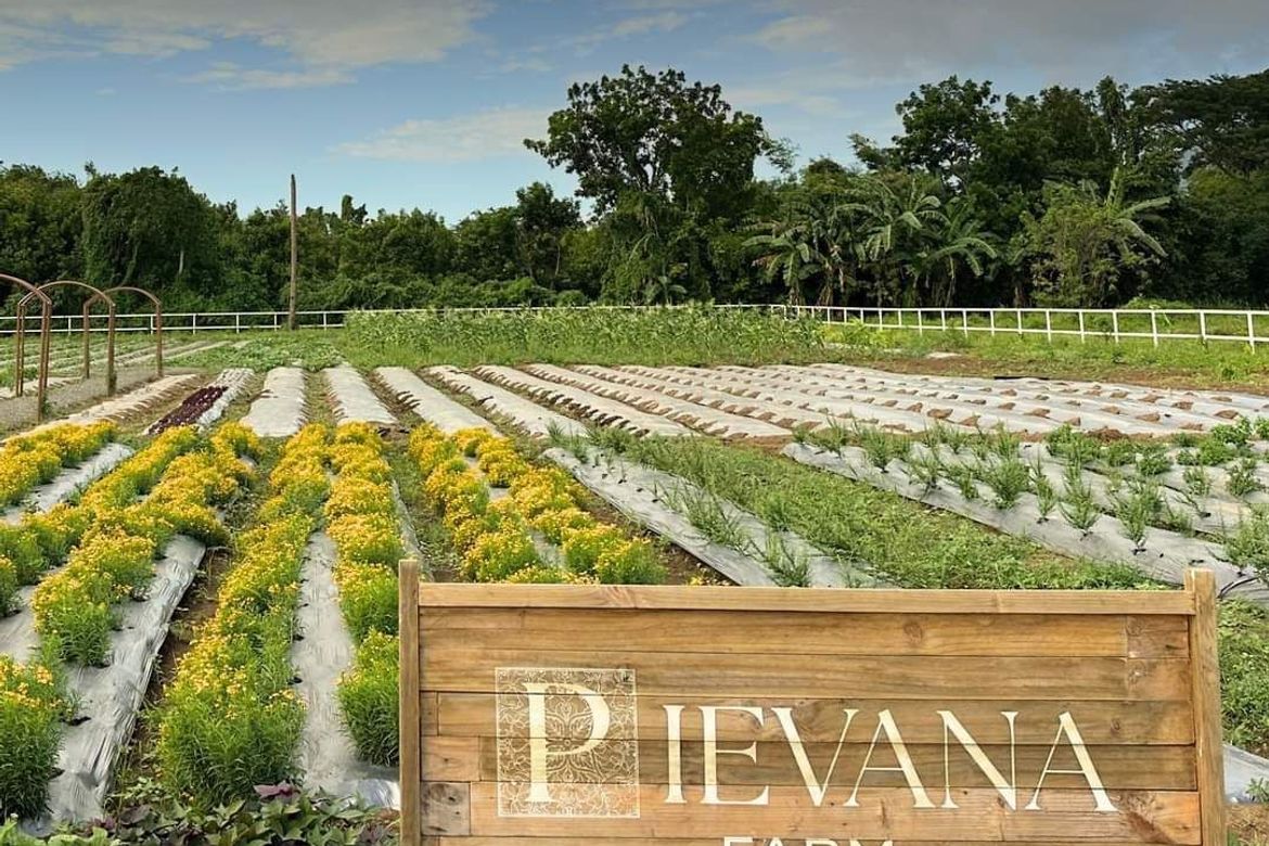 Land for Sale in San Rafael, Santo Tomas, Batangas