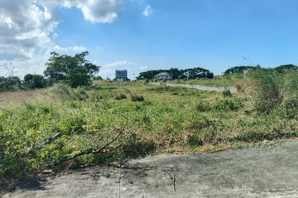 Land for Sale in San Rafael, Santo Tomas, Batangas – photo 6