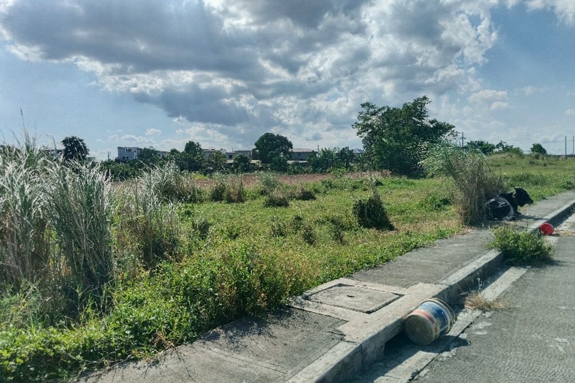 Land for Sale in San Rafael, Santo Tomas, Batangas – photo 7