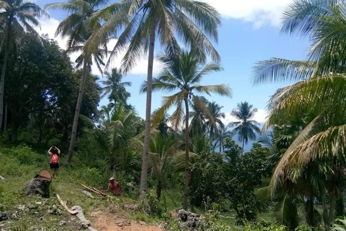 Land for Sale in San Remigio, Samal, Davao del Norte – photo 2