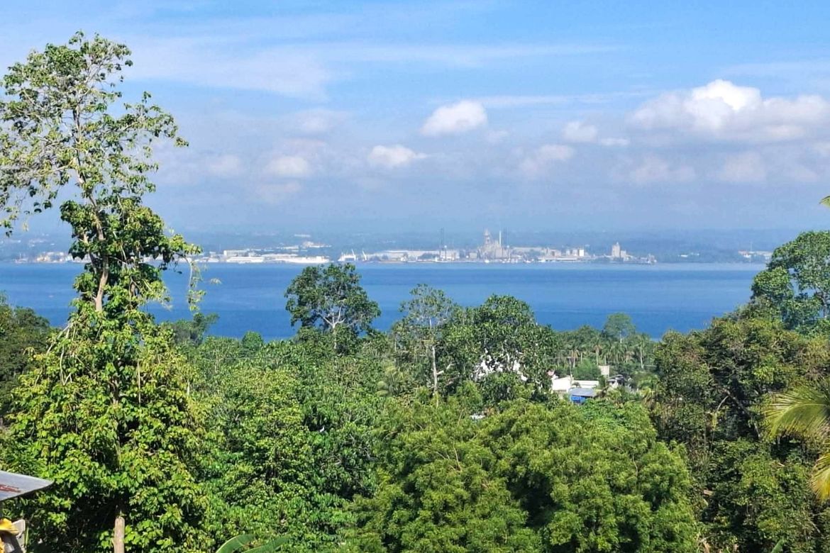 Land for Sale in San Remigio, Samal, Davao del Norte – photo 2